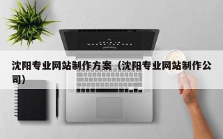 雄安新区沈阳专业网站制作方案（沈阳专业网站制作公司）